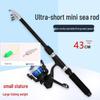 43см Портативный Мини Телескопический Набор Удилищ для Спиннинговой Рыбалки для Начинающих
