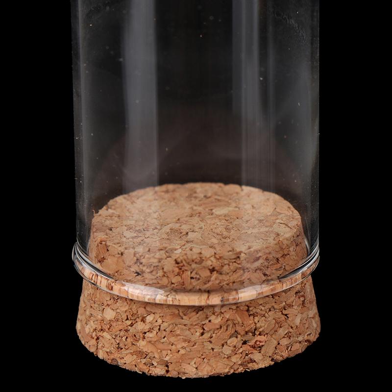 1/6 Doll Glass Dome Display Wood Cork Bell Jar With Wooden Base Decoation Craft
