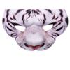 Halloween Tiger Half Face Mask Realistic Animal Facial Mask For Cosplay Masquerade Party Festival