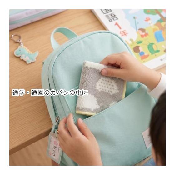 Imabari Towel Handkerchief Set - 2 Pack, Hedgehog Pattern, Blue & Pink, 25x25cm, 100% Cotton, Made in Japan. Cute, Stylish, Nordic Design. Absorbent,