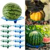 10 шт. Подставка для дыни, тыквы, арбуза, пластиковая опора для садовых растений для кабачков, дыни-канталупы, клубники, держатель для фруктов