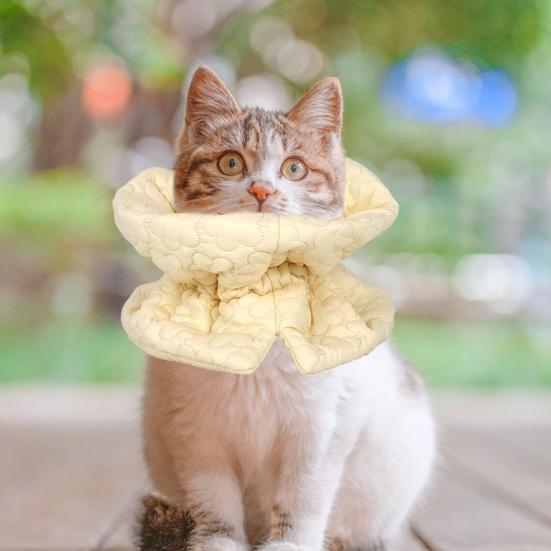 Ошейник для восстановления, чтобы не лизать, кусаться, легко есть, пить, вышивать цветами, теплый кот