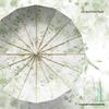 Складной зонт из массива дерева с 16 ребрами, с защитой от УФ-лучей и matching tote