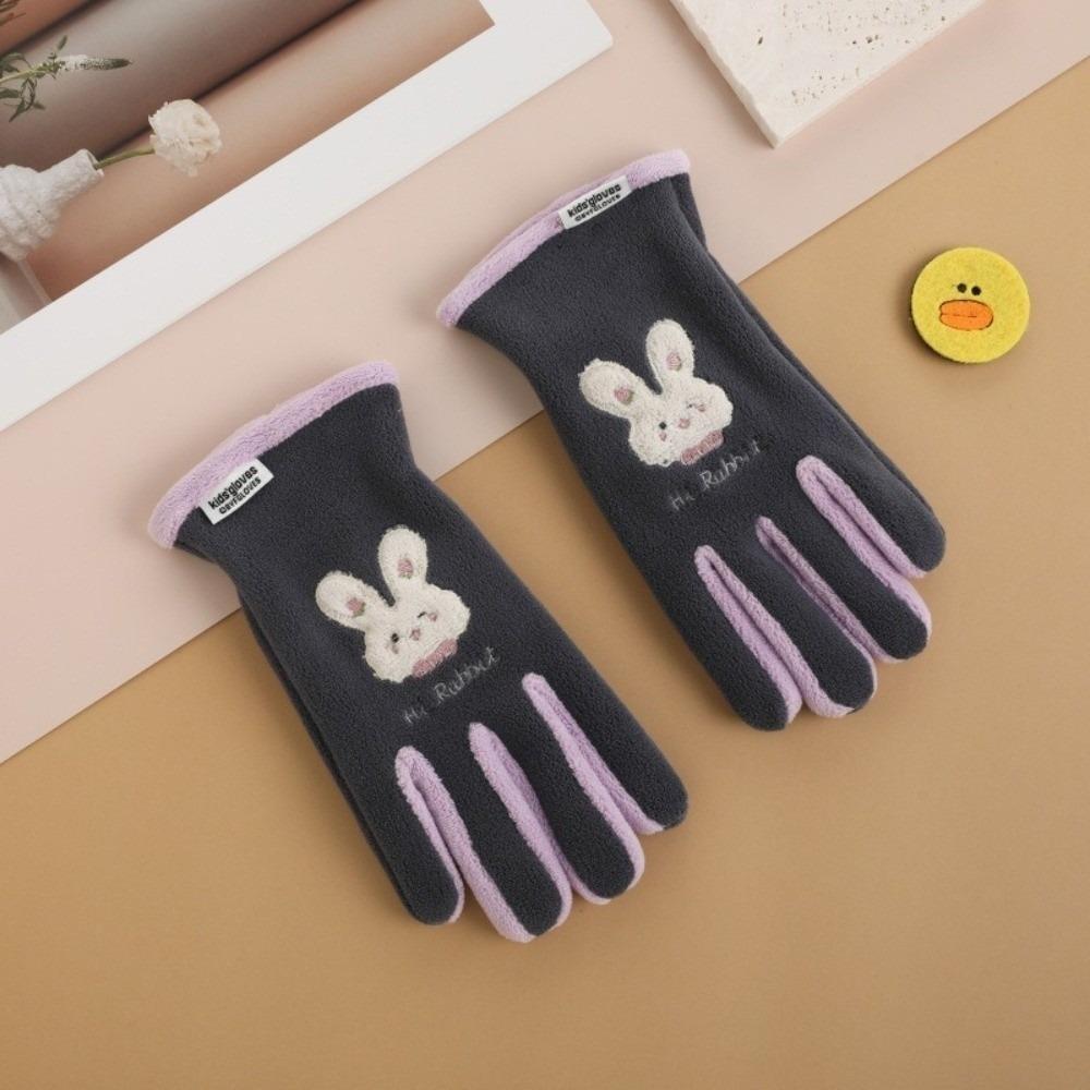 Plush Ski Gloves Polar Fleece Full Finger Gloves New Windproof Coldproof Gloves Autumn and Winter