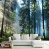 3d Sunshine Forest Nature Landscape Photo Mural Wallpaper Living Room Bedroom Backdrop Wall Mural