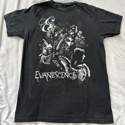 Evanescence Группа Рок Тур Унисекс Хлопковая Футболка Топы Футболка Полный Размер