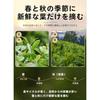 Fragrant type Tieguanyin tea leaves Fujian Fengshan Group rich aroma hand-picked traditional method Oolong premium authentic Chinese Han (250g1 box)