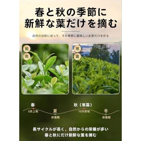 Fragrant type Tieguanyin tea leaves Fujian Fengshan Group rich aroma hand-picked traditional method Oolong premium authentic Chinese Han (250g1 box)