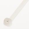 Panduit BT3S-C Dome-Top Barb Ty Cable Tie, Nylon 6