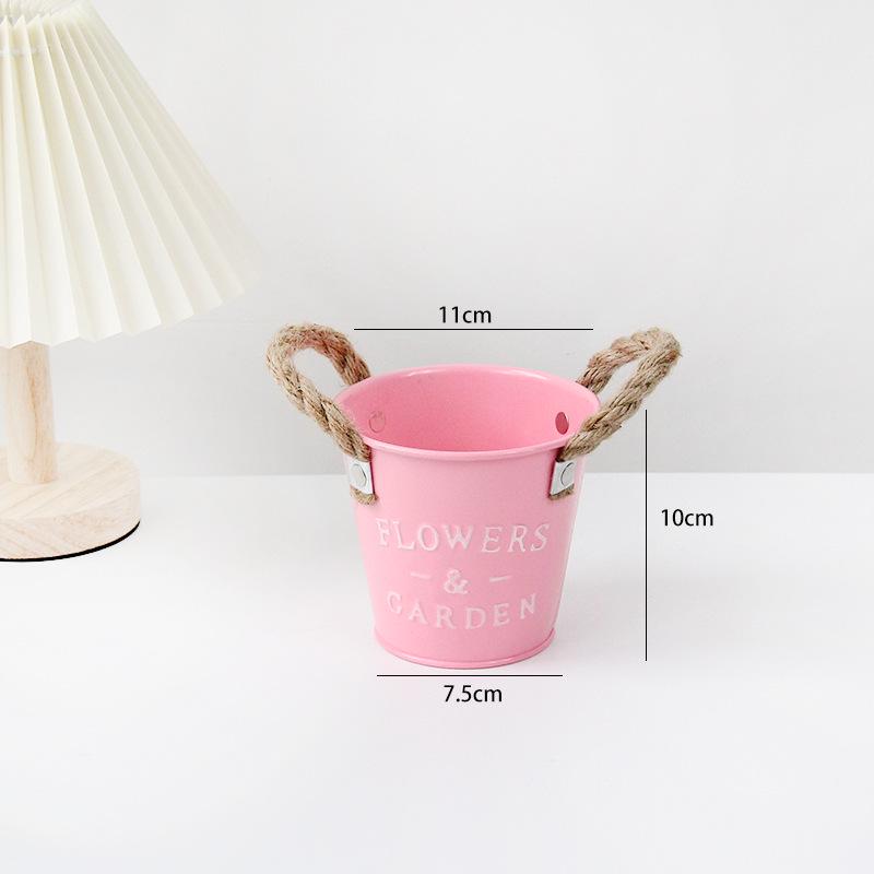 Металлические мини-горшки для цветов и держатели для ручек - суккулентные кашпо и ведро для хранения домашних поделок