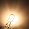 T5 Halogen Instrument Bulb with Holder 12V 2W for Dashboard and License Plate Lighting