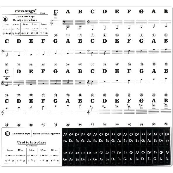 Piano Keyboard Stickers, Transparent Removable Piano Key Labels Stickers Notes Guide for 88/76/61/54/49 Keys Beginners and Kids Learning Piano