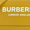 Burberry Logo Print Leather Crossbody Wallet Bag Mustard Yellow Gold Hardware Fashion Daily Use 80463081