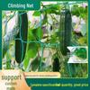 Садовая сеть для скалолазания: Идеально для уличных вьющихся растений, теплиц, дынь, фруктов, цветов и решетчатой поддержки