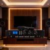 250 Вт Высокомощный Bluetooth USB Караоке Усилитель с Фиксированным Сопротивлением и Радио
