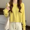 Autumn and Winter Women Fashion Crop Sweater Loose Solid Pullover Tops