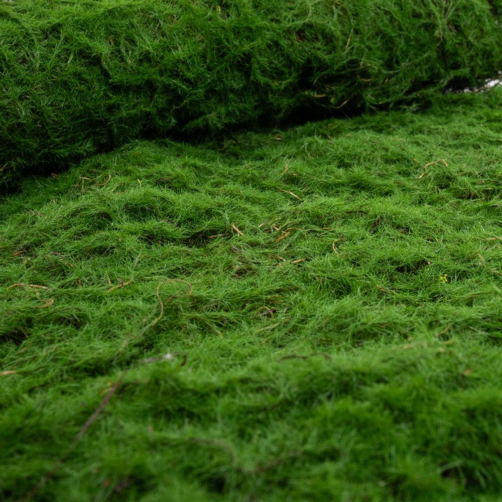 Artificial Moss Lawn Turf for Window Display and Landscaping