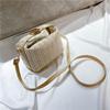 2025 Spring/Summer Women's Trendy Korean Style Straw Woven Crossbody Bag