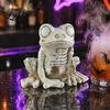 Gothic Style Gift for Collectors Halloween Skeleton Frog Figurine Resin Animal Bone Statue Bar Haunted Scary Holiday Scene Displays House,