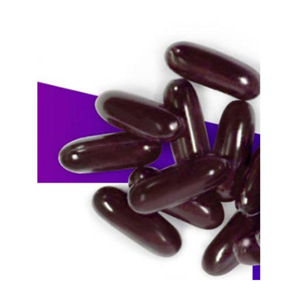 Holidays Zantigen 600, 30 Tablets, 1 Pack - Premium Fat Burning Supplement