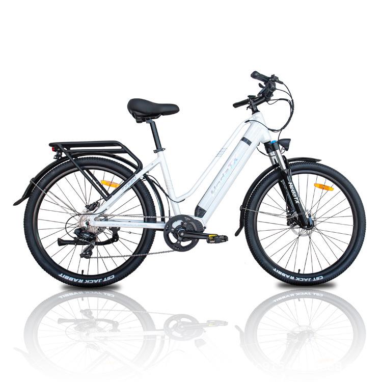 HedaTX TX520 Electric Bicycle with Removable Lithium Battery, 7-Speed Mechanical, and 5-Speed Electric Transmission