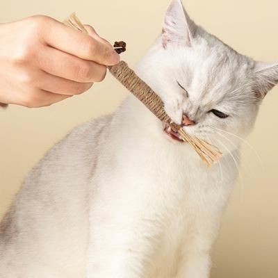 Кошачья жевательная палочка, игрушка из натуральной виноградной лозы, игрушка для здоровья зубов, молярная игрушка, кошачья мята, лакомство, игрушки, палочка для чистки зубов для домашних котят