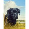 5D DIY алмазная живопись собака полная круглая алмазная вышивка распродажа животное горный хрусталь картина набор для вышивки крестом украшение дома