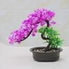 Artificial Pine Tree Indoor Green Plant Decoration - Large Faux Bonsai