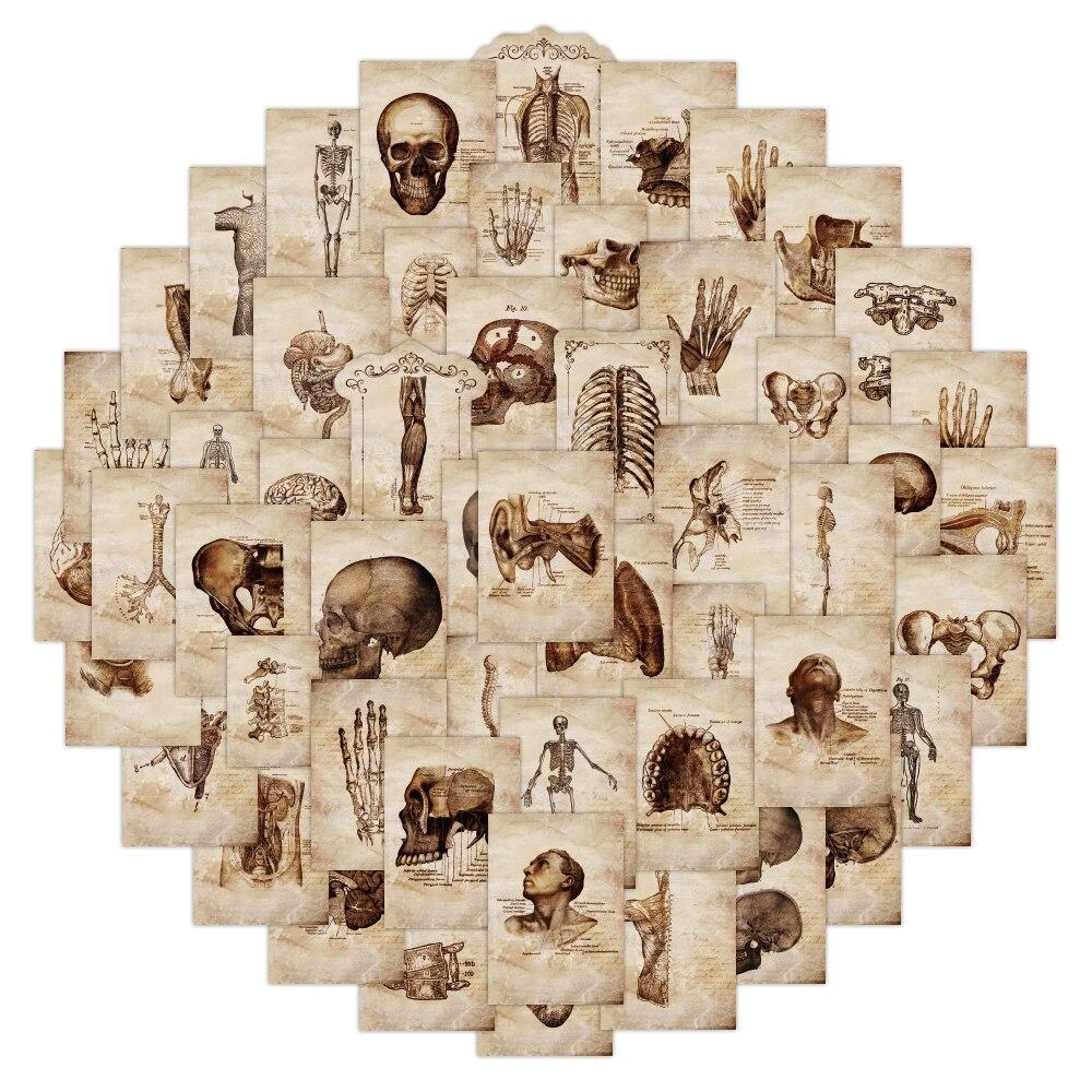 10/52 шт. креативные наклейки по анатомии и физиологии, наклейки с изображением человеческого скелета, граффити для DIY, багажа, ноутбука, велосипеда, наклейки