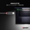 Lindy 0.5m Black Line USB 3.2 Gen 2x2 Type-C Cable 36905