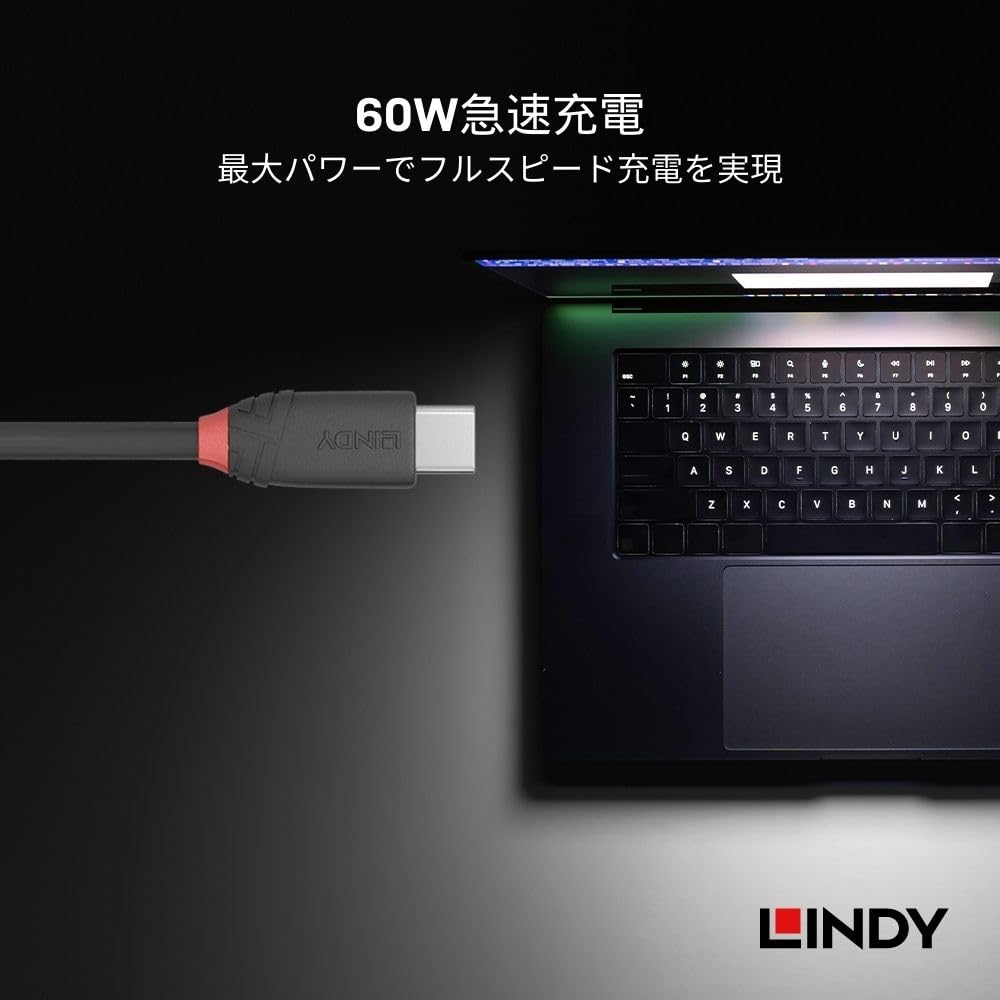 Lindy 0.5m Black Line USB 3.2 Gen 2x2 Type-C Cable 36905