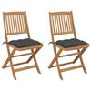 VidaXL Set of 2 Folding Garden Chairs with Cushions, Patio Seats, Dining Chairs, Patio Furniture 3064659