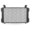 2025 2026 Motorcycle Accessories Radiator Guard Grille Cover Protection Protector For Honda CB1000 CB 1000 Hornet 1000 SP 2024