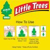 Little Trees (Персиково-имбирный шприц) Подвесной освежитель воздуха для автомобиля и комнаты
