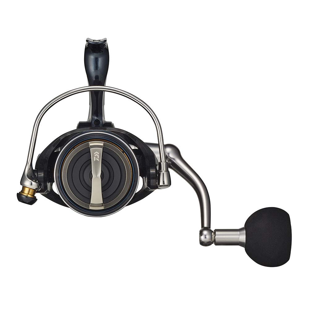 DAIWA 21 Сертификат SW 8000-P