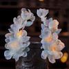 Tassel Silk Flower Hairpin Pearl Hanfu Headwear Retro Ancient Hair Clip  Women