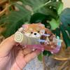 Non-Slip Hair Claw Acrylic Updo Shark Clamp Cute Back Head Hair Holder  Daily
