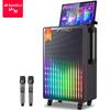 ShanShui Portable KTV Karaoke Speaker System