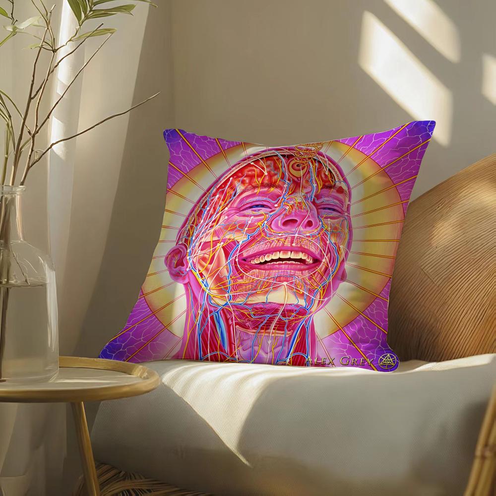 Alex gGrey art Pillow Case DoubleSided Plush Sofa Cushion Covers Organic Breathable Invisible Zipper