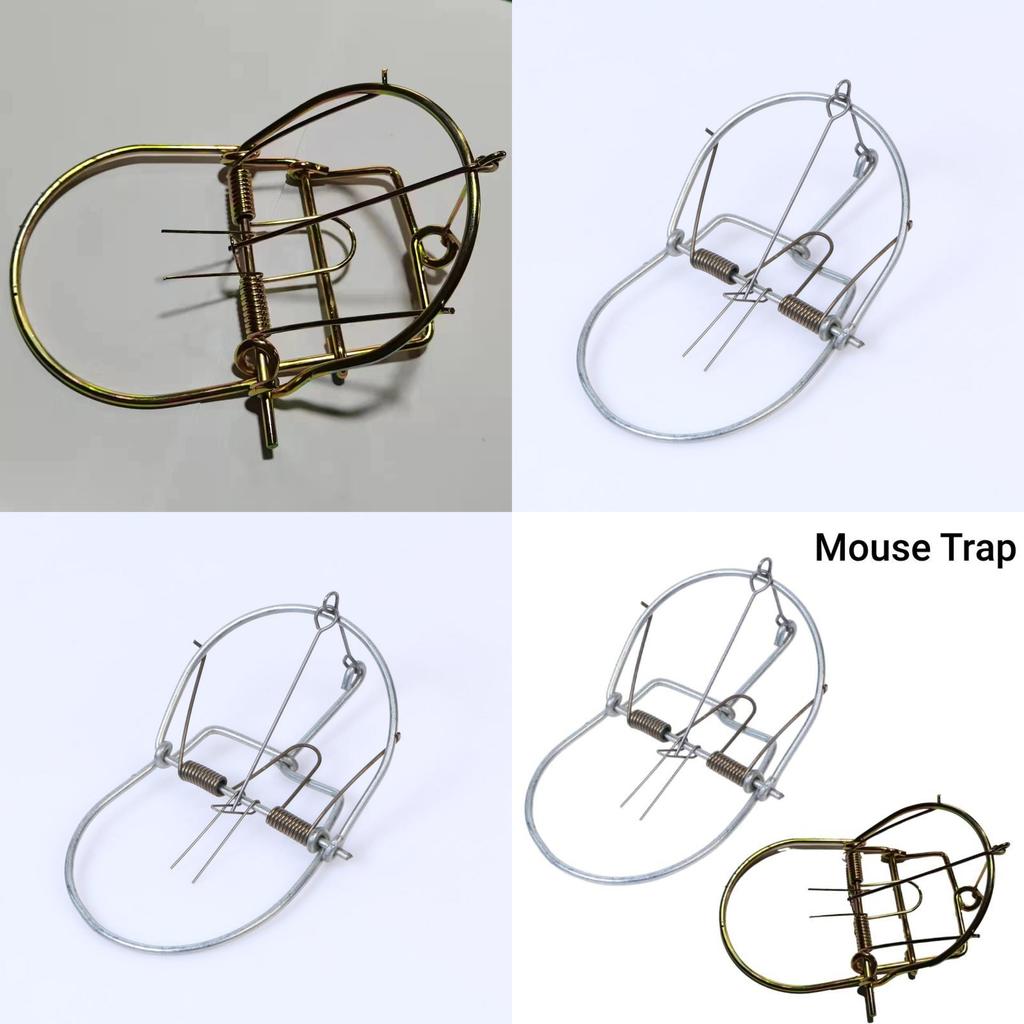 Non-toxic Rat Trap Powerful Tool To Eliminate Rodents In Your Yard