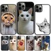Милый питомец Милое животное кошка Чехол для телефона Для iPhone 17 Air 14 15 16 13 12 Чехол Для Apple Pro Max 6S Plus Coque