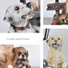 Realistic Resin Dog Garden Decoration with Solar Lighting Hand Painted Dog Figurine for Porch and Balcony Yard Ornament