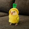 Windproof Bird Transform Clothing Soft Parrot Flight Suit Cute Pineapple Bird Clothes  Pet Show