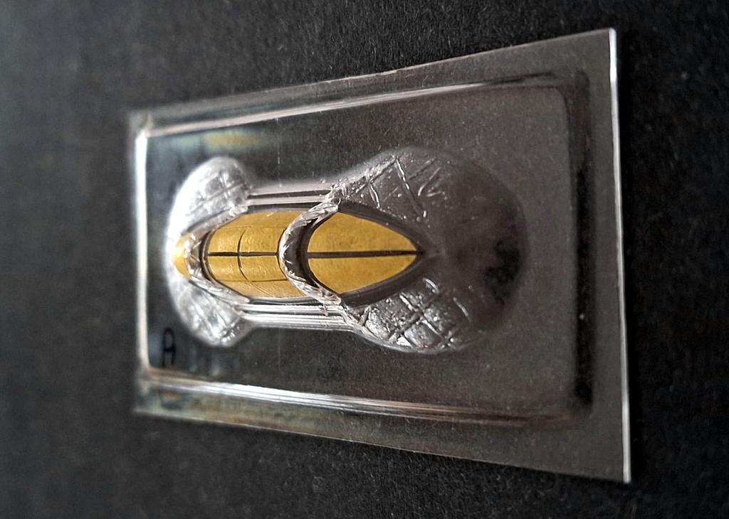 Dead Design Models Kawanishi Shiden Type 11 Open State Vacuum Mask Seal Plastic Model Parts DDMCM72019 1/72 Canopy/Painted (for Tamiya)