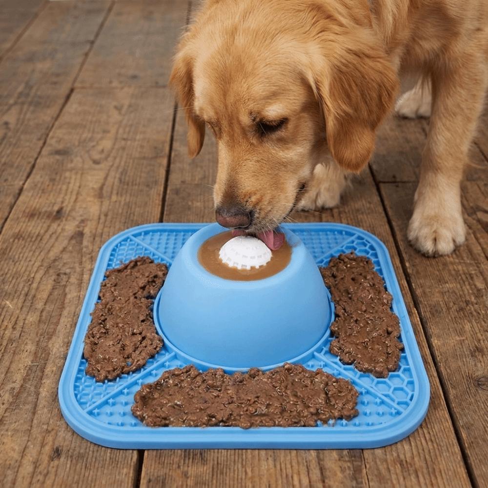Silicone Dog Licking Bowl Bite Resistant Pet Slow Feeder Pet Feeding Bowl for Cats and Dogs