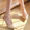 Весна Осень Модные Заклепки Высокие Каблуки Женские Новые Стильные Тонкие Каблуки Острые Высокие Каблуки Сандалии Темперамент Баотоу Одиночные Туфли