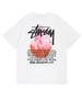 Футболка Stussy