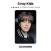 Stray Kids Официальная фотокарточка 5-STAR SOUND WAVE