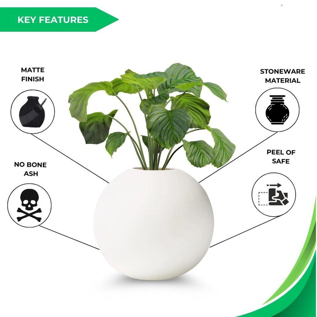 Новейшая керамическая 'Белая круглая ваза' 4 дюйма - Набор из 1 | Декоративная круглая ваза для сухоцветов и пампасной травы | Вазы для домашнего декора,