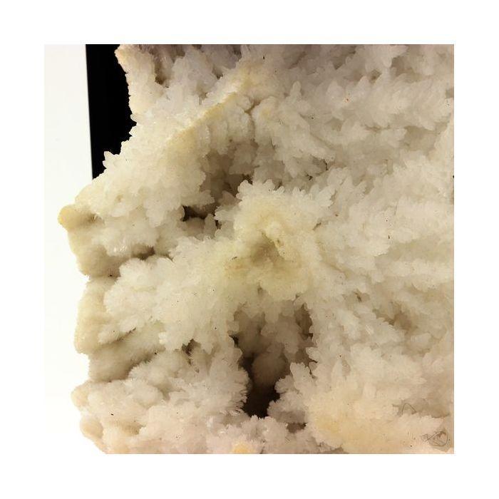 Pierres et Minéraux. Aragonite. 1356.0 ct. Mexique.